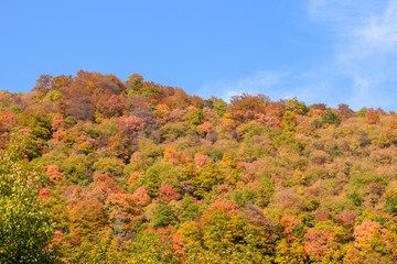 View over the surroundings hills and mountains during autumn, Macedonia