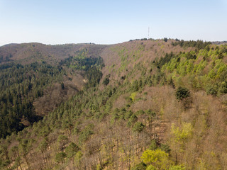 Pfalz bei Dahn im Frühling