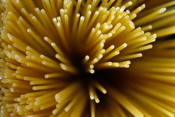 Spaghetti on a black background