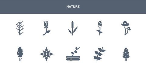 10 nature vector icons such as pine, pinnate, plant growing on book, poinsettia, poplar contains poppy, protea, reed, rose, rosemary. nature icons