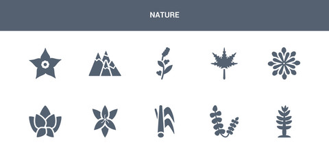 10 nature vector icons such as larch, lavender, lemongrass, lily, lotus contains magnolia, maple, mimosa, mountains, narcissus. nature icons