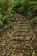 Hanging Bridges Trail near Heliconias Rainforest Lodge in Bijagua in Costa Rica