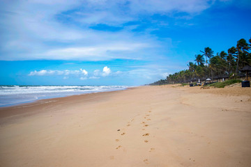 View of an empty tropical beach of Brazil