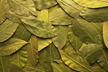 green dried bay leaves background - Powered by Adobe