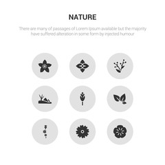 9 round vector icons such as geranium, gerbera, gladiolus, tea, hawthorn contains hills, hyacinth, hydrangea, hypericum. geranium, gerbera, icon3_, gray nature icons