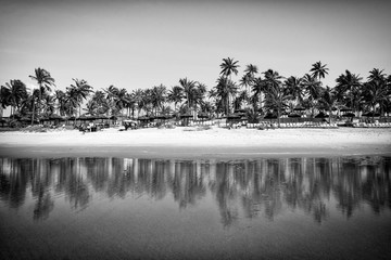 Black and white photo of an empty tropical beach of Brazil