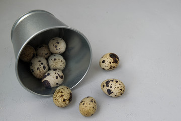 Quail eggs in a bucket. Happy Easter. Congratulatory Easter background.