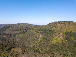 Fototapeta premium Pfalz bei Dahn im Frühling