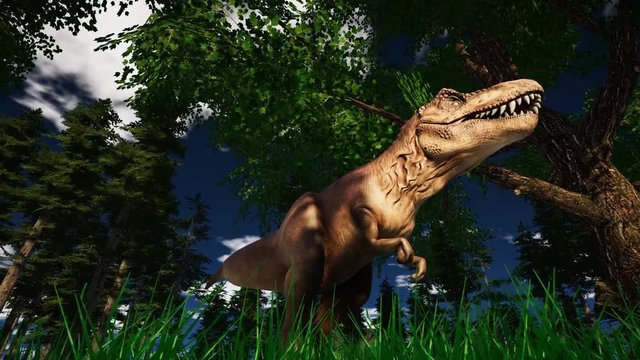 T-rex Tyrannosaurus Dinosaur 