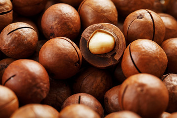 Texture of organic macadamia nut fresh natural fruit shelled one nut in full frame close-up view