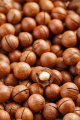 Texture of organic macadamia nut fresh natural fruit shelled one nut in full frame close-up view