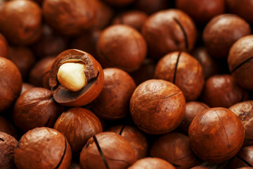 Texture of organic macadamia nut fresh natural fruit shelled one nut in full frame close-up view