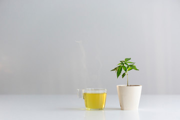 Hot healthy CBD tea.