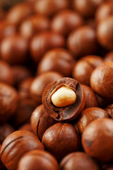 Texture of organic macadamia nut fresh natural fruit shelled one nut in full frame close-up view