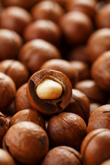 Texture of organic macadamia nut fresh natural fruit shelled one nut in full frame close-up view