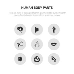 9 round vector icons such as ball of the knee, basophil, big cellule, big lips, blood supply system contains blood vessel, bones joint, bosom, brain body organ. ball of the knee, basophil, icon3_,
