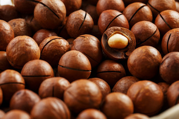 Texture of organic macadamia nut fresh natural fruit shelled one nut in full frame close-up view