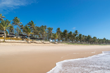 View of an empty tropical beach of Brazil © Diego