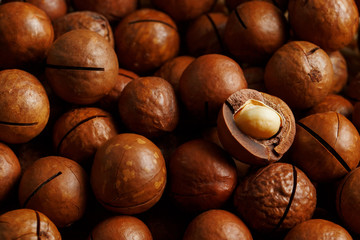 Texture of organic macadamia nut fresh natural fruit shelled one nut in full frame close-up view