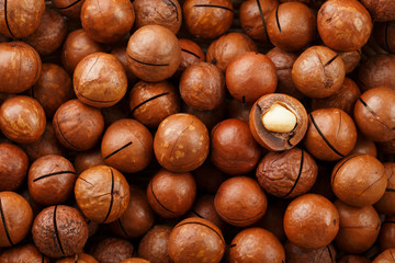 Texture of organic macadamia nut fresh natural fruit shelled one nut in full frame close-up view