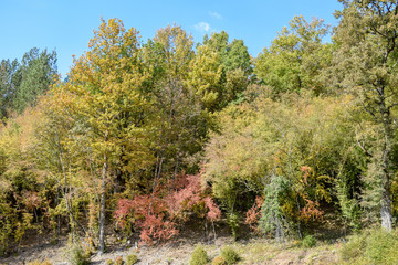 Obraz premium View over the surroundings hills and mountains during autumn, Macedonia