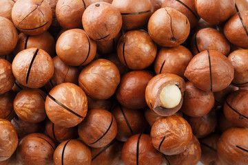 Texture of organic macadamia nut fresh natural fruit shelled one nut in full frame close-up view