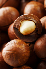 Texture of organic macadamia nut fresh natural fruit shelled one nut in full frame close-up view