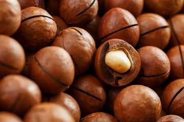 Texture of organic macadamia nut fresh natural fruit shelled one nut in full frame close-up view