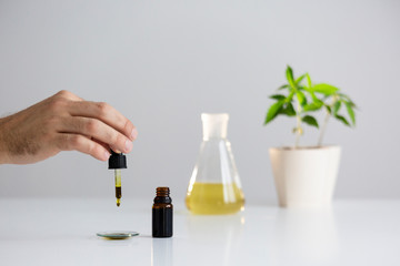 Hand dropping CBD oil from pipette to the watch glass