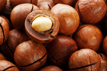 Texture of organic macadamia nut fresh natural fruit shelled one nut in full frame close-up view