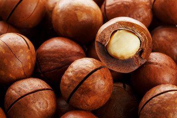 Texture of organic macadamia nut fresh natural fruit shelled one nut in full frame close-up view