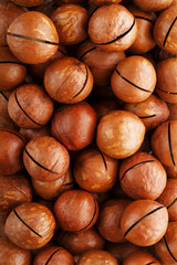 Texture of organic macadamia walnut fresh natural fruit in full frame close-up view