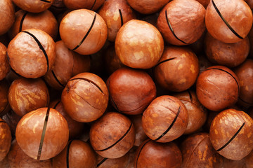 Texture of organic macadamia walnut fresh natural fruit in full frame close-up view
