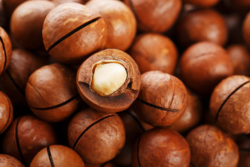 Texture of organic macadamia nut fresh natural fruit shelled one nut in full frame close-up view