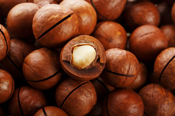 Texture of organic macadamia nut fresh natural fruit shelled one nut in full frame close-up view
