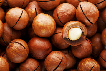 Texture of organic macadamia nut fresh natural fruit shelled one nut in full frame close-up view