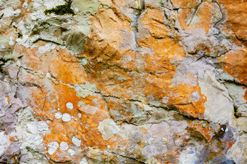 Closeup - beautiful structure of an ancient rock texture formation. Concept of natural background and screen saver. Advertising space