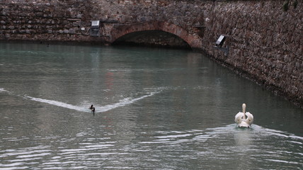Nelle mura di Sirmione