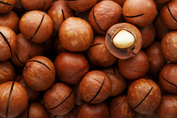Texture of organic macadamia nut fresh natural fruit shelled one nut in full frame close-up view