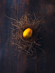 Golden egg in the nest on wooden background