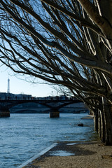 Seine River and Eiffel Tower