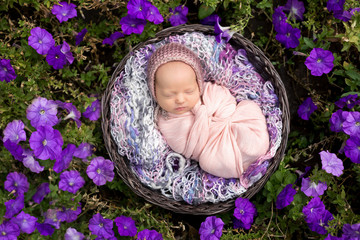 newborn child. newborn photo shoot . newborn baby in flowers
