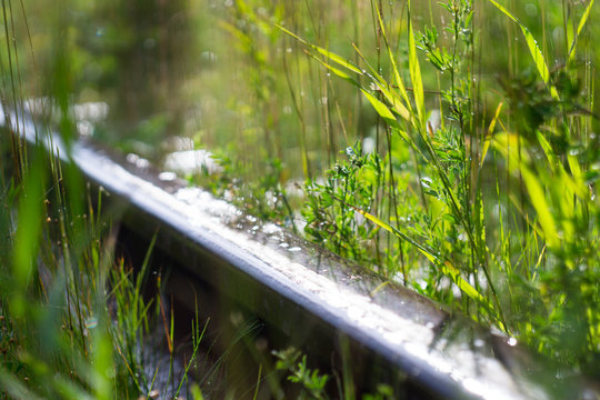 summer rain on the railway in the mountains