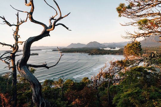 Wild Coast