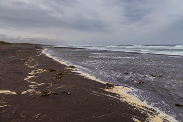 View of the Avachinskaya Bay , Avacha Bay and volcanic beaches, Russia.