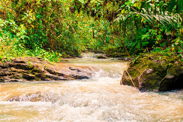 Camino a cascadas Dos Mangas