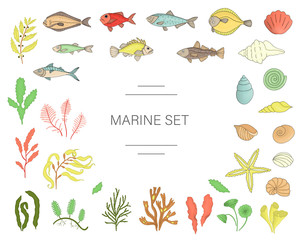 Vector  colored set of fish, sea shells, seaweeds isolated on white background. Colorful marine collection. Underwater illustration