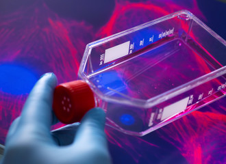 Cell biologist viewing stem cells cultivated red growth medium in a culture jar with the microscope image of the cell structure in the background