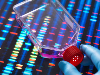 Genetic Engineering, Scientist viewing cells in a culture jar with a DNA profiles on a screen in the background illustrating gene editing
