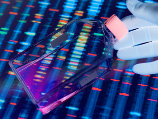 Genetic Engineering, Scientist viewing cells in a culture jar with a DNA profiles on a screen in the background illustrating gene editing